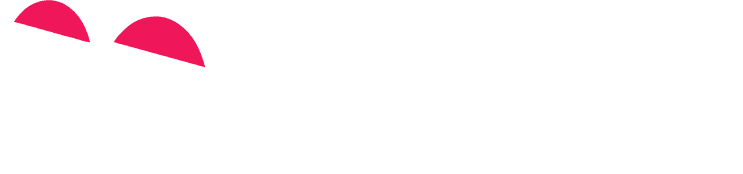 Twowise logo